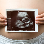 Fetal Development At 5 Weeks